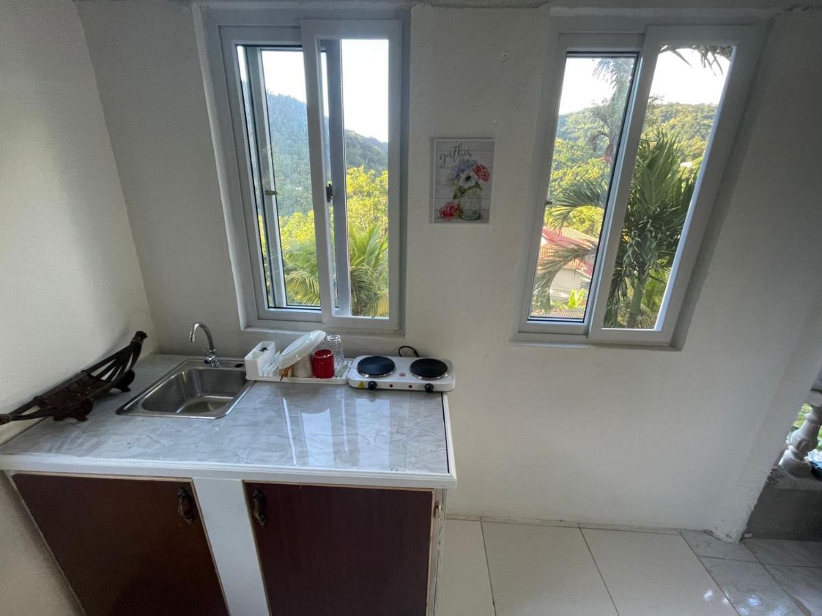 Zaboca Apartment Roseau Extérieur photo