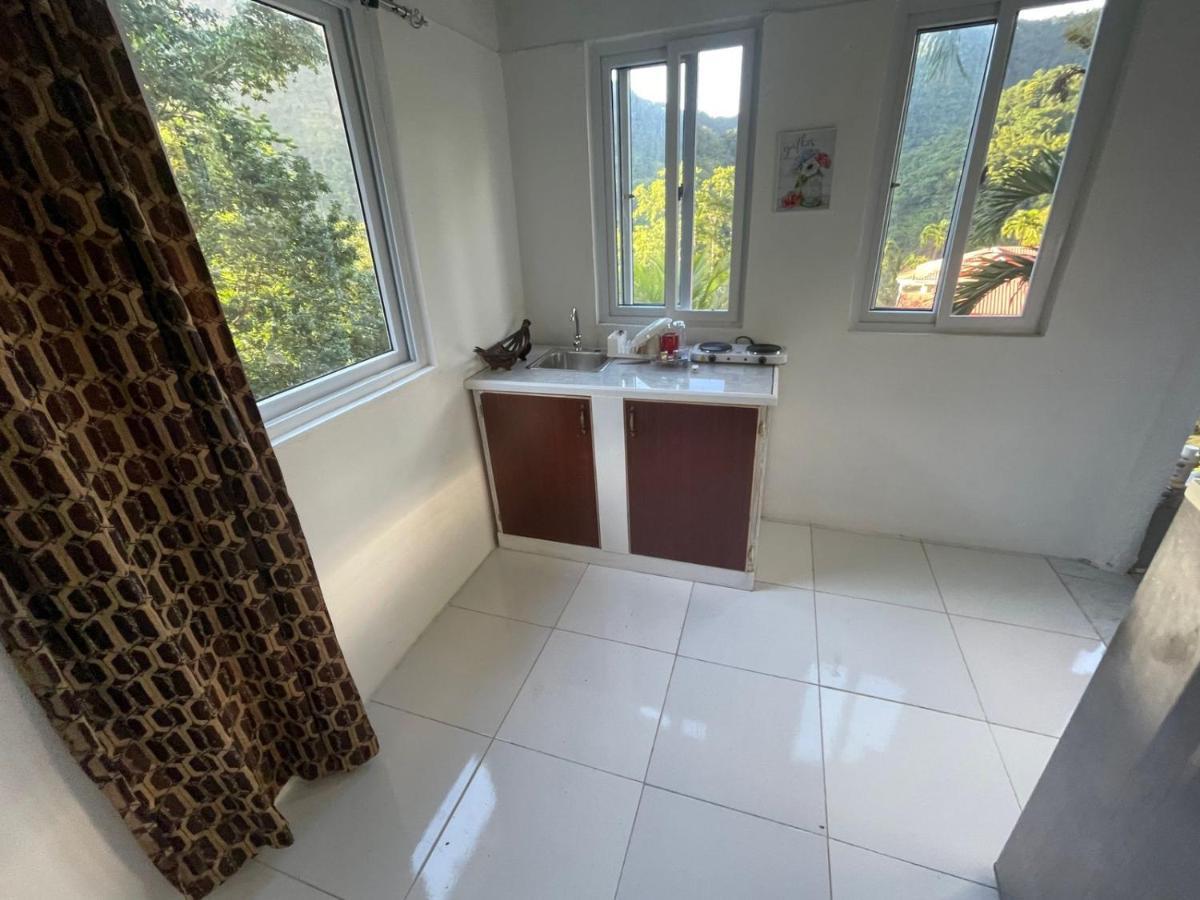 Zaboca Apartment Roseau Extérieur photo